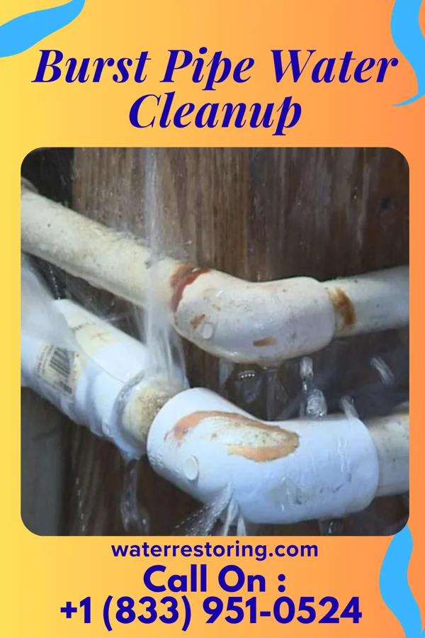 Burst Pipe Water Cleanup in Youngwood, PA