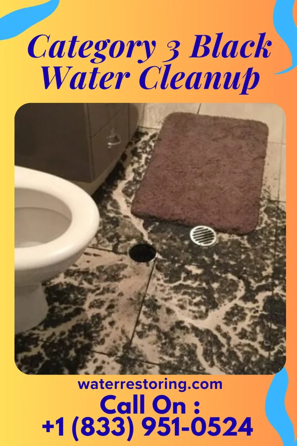 Category 3 Black Water Cleanup in Youngwood, PA