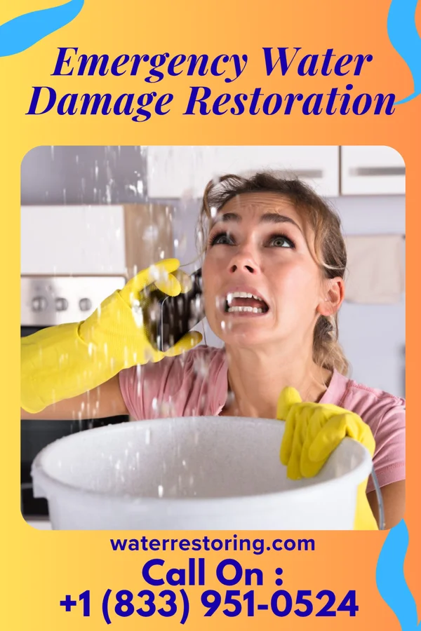 Emergency Water Damage Restoration in Youngwood, PA