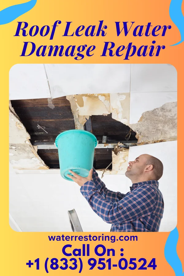 Roof Leak Water Damage Repair in Youngwood, PA