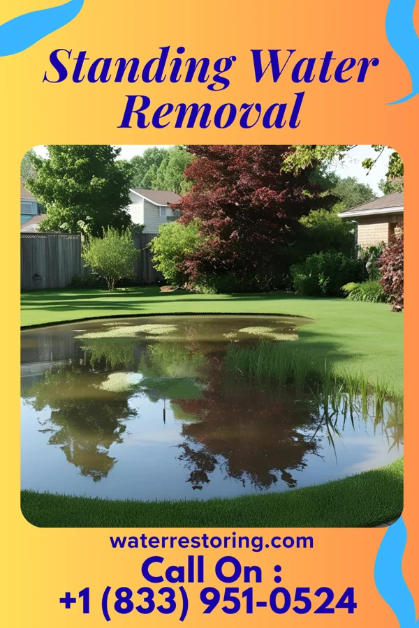 Standing Water Removal in Youngwood, PA